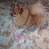 ares